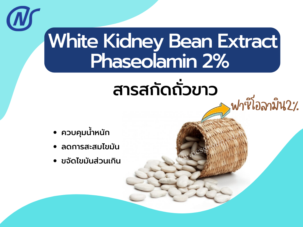 White Kidney Bean Extract Phaseolamin 2%